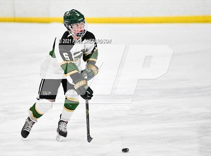 Thumbnail 1 in Cherry Creek vs. Mountain Vista  photogallery.