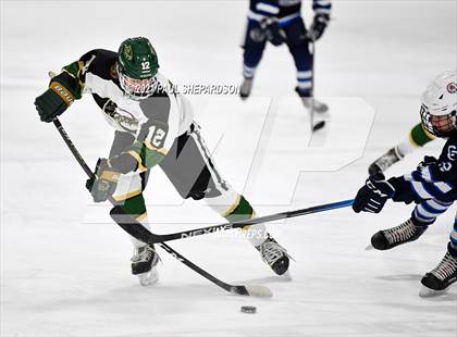 Thumbnail 2 in Cherry Creek vs. Mountain Vista  photogallery.