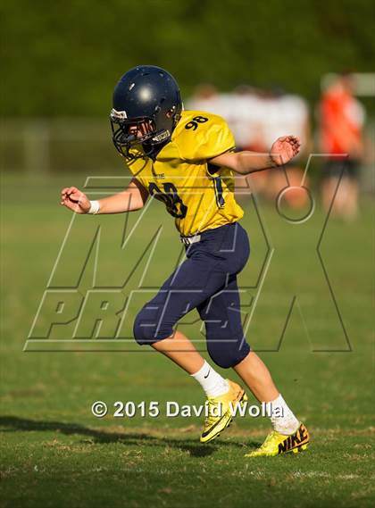 Thumbnail 3 in North Davidson @ Mount Tabor photogallery.