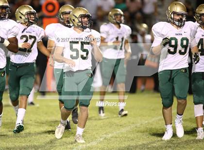 Thumbnail 2 in Basha @ Westview photogallery.
