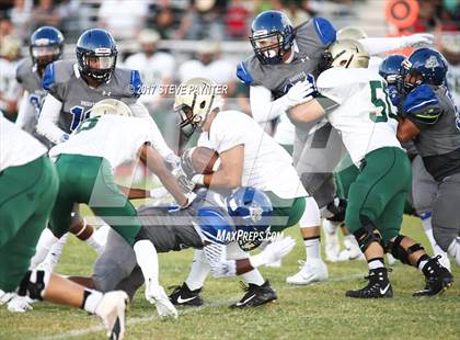 Thumbnail 3 in Basha @ Westview photogallery.