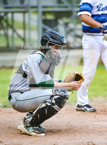 Thumbnail 2 in Potomac vs. Woodbridge photogallery.