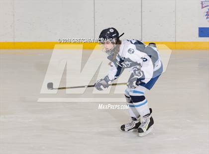Thumbnail 3 in Wilton/Norwalk@Stamford/Westhill/Staples photogallery.