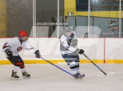 Thumbnail 3 in Wilton/Norwalk@Stamford/Westhill/Staples photogallery.