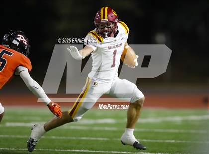 Thumbnail 2 in Cardinal Newman vs. Pittsburg (CIF NCS D1 Final) photogallery.