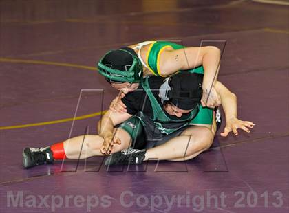 Thumbnail 1 in CIF State Girls Wrestling Championships (Round 3) photogallery.
