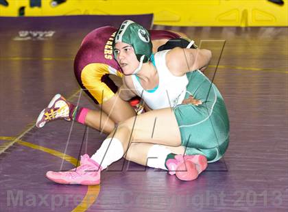 Thumbnail 2 in CIF State Girls Wrestling Championships (Round 3) photogallery.