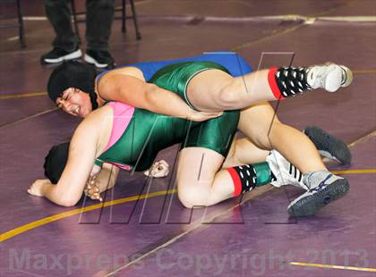 Thumbnail 3 in CIF State Girls Wrestling Championships (Round 3) photogallery.