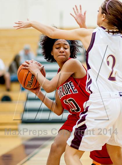 Thumbnail 1 in Antelope @ Whitney photogallery.