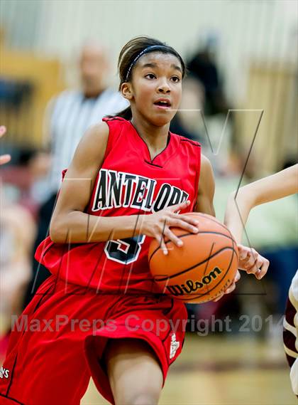 Thumbnail 3 in Antelope @ Whitney photogallery.
