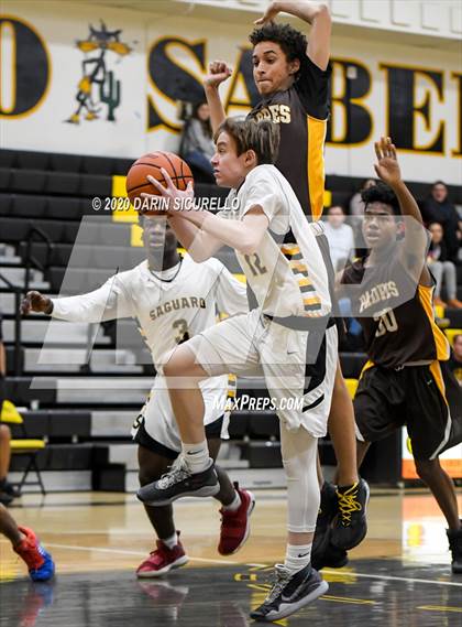 Thumbnail 2 in Saguaro vs Marcos de Niza photogallery.