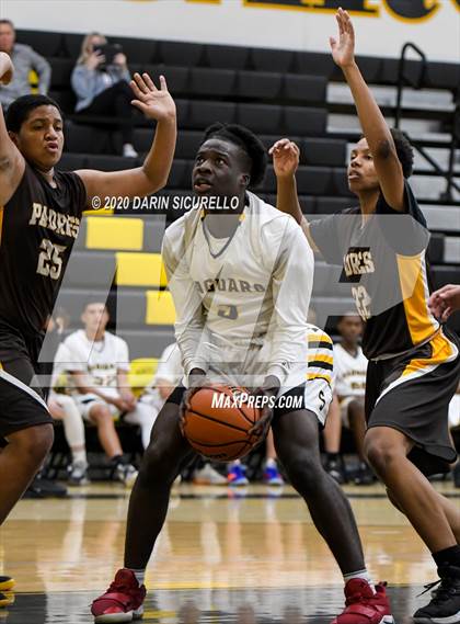 Thumbnail 1 in Saguaro vs Marcos de Niza photogallery.