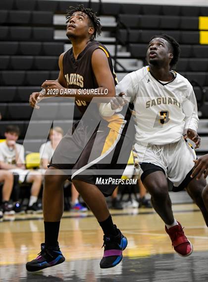 Thumbnail 1 in Saguaro vs Marcos de Niza photogallery.