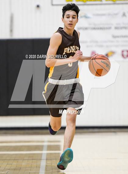 Thumbnail 2 in Saguaro vs Marcos de Niza photogallery.