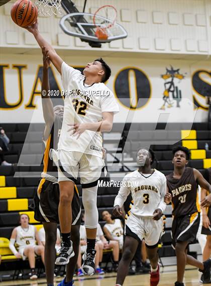 Thumbnail 1 in Saguaro vs Marcos de Niza photogallery.