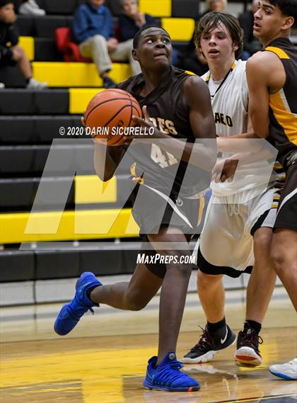 Thumbnail 1 in Saguaro vs Marcos de Niza photogallery.