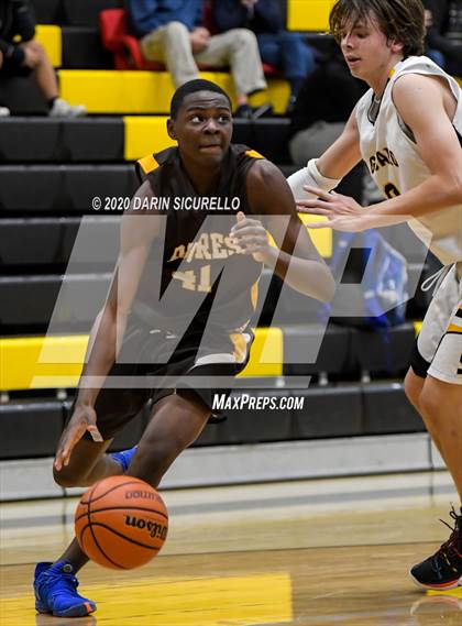 Thumbnail 2 in Saguaro vs Marcos de Niza photogallery.