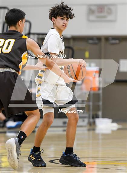 Thumbnail 3 in Saguaro vs Marcos de Niza photogallery.