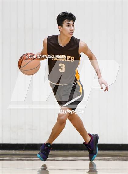 Thumbnail 1 in Saguaro vs Marcos de Niza photogallery.