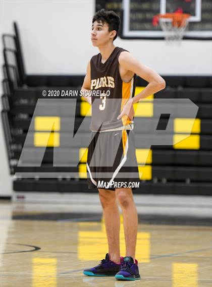 Thumbnail 2 in Saguaro vs Marcos de Niza photogallery.