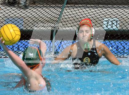Thumbnail 3 in Poly vs. Schurr (CIF-SS D2 Final) photogallery.