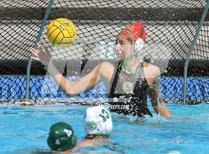 Thumbnail 1 in Poly vs. Schurr (CIF-SS D2 Final) photogallery.