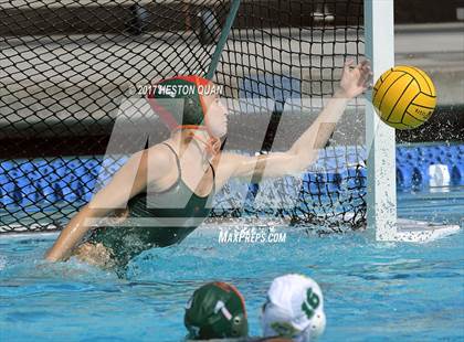 Thumbnail 2 in Poly vs. Schurr (CIF-SS D2 Final) photogallery.