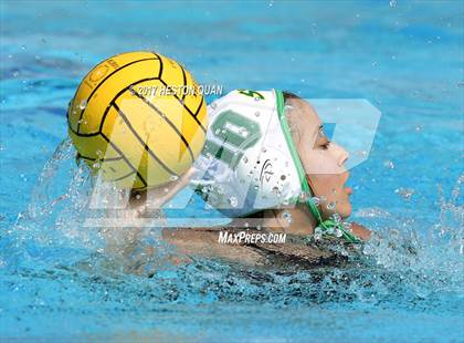 Thumbnail 2 in Poly vs. Schurr (CIF-SS D2 Final) photogallery.