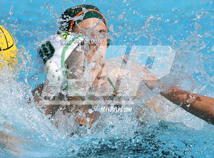 Thumbnail 3 in Poly vs. Schurr (CIF-SS D2 Final) photogallery.