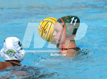 Thumbnail 2 in Poly vs. Schurr (CIF-SS D2 Final) photogallery.