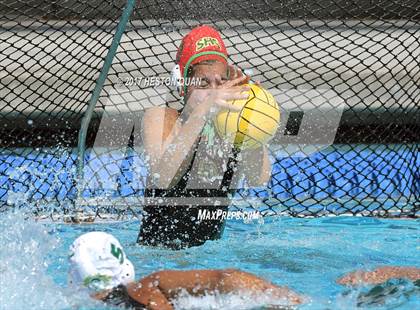 Thumbnail 1 in Poly vs. Schurr (CIF-SS D2 Final) photogallery.