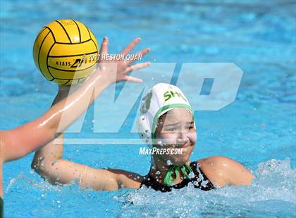 Thumbnail 2 in Poly vs. Schurr (CIF-SS D2 Final) photogallery.