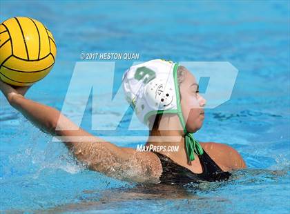 Thumbnail 2 in Poly vs. Schurr (CIF-SS D2 Final) photogallery.