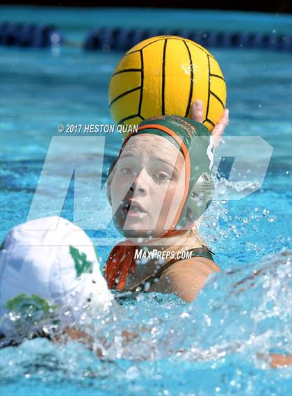 Thumbnail 2 in Poly vs. Schurr (CIF-SS D2 Final) photogallery.
