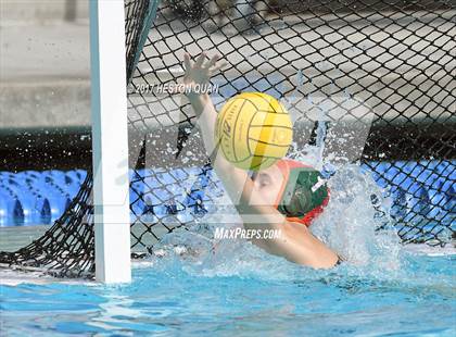 Thumbnail 1 in Poly vs. Schurr (CIF-SS D2 Final) photogallery.