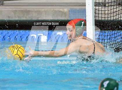 Thumbnail 2 in Poly vs. Schurr (CIF-SS D2 Final) photogallery.