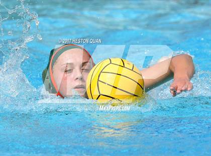 Thumbnail 2 in Poly vs. Schurr (CIF-SS D2 Final) photogallery.
