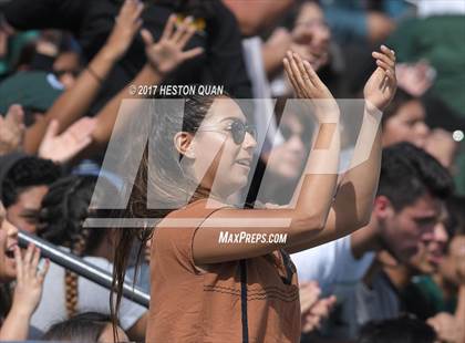 Thumbnail 2 in Poly vs. Schurr (CIF-SS D2 Final) photogallery.