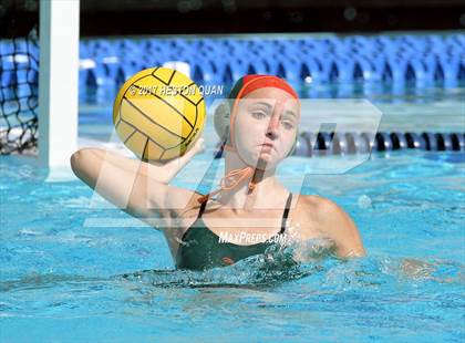 Thumbnail 2 in Poly vs. Schurr (CIF-SS D2 Final) photogallery.