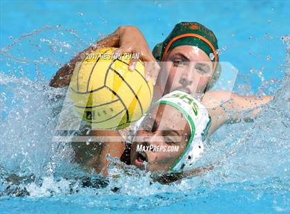 Thumbnail 2 in Poly vs. Schurr (CIF-SS D2 Final) photogallery.
