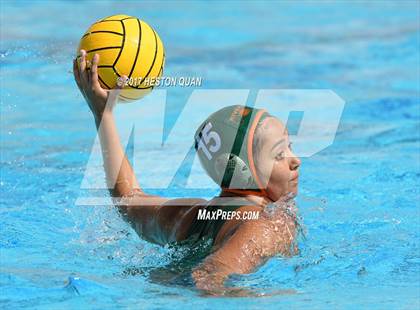 Thumbnail 2 in Poly vs. Schurr (CIF-SS D2 Final) photogallery.