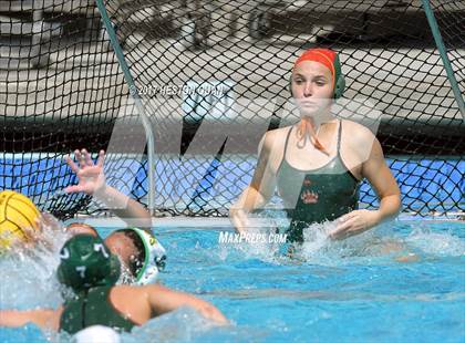 Thumbnail 2 in Poly vs. Schurr (CIF-SS D2 Final) photogallery.