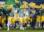 Photo from the gallery "St. Edward vs. Springfield (OHSAA D1 Final)"