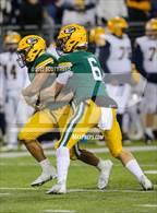 Photo from the gallery "St. Edward vs. Springfield (OHSAA D1 Final)"