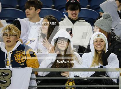 Thumbnail 3 in St. Edward vs. Springfield (OHSAA D1 Final) photogallery.