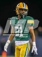 Photo from the gallery "St. Edward vs. Springfield (OHSAA D1 Final)"