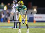 Photo from the gallery "St. Edward vs. Springfield (OHSAA D1 Final)"