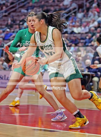Thumbnail 1 in Archbishop Wood vs. South Fayette (PIAA 5A Championship) photogallery.