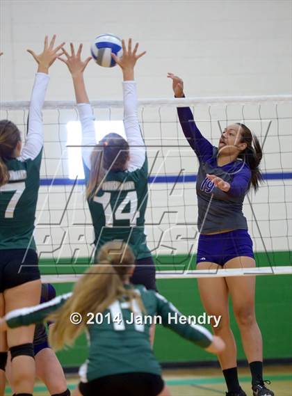 Thumbnail 2 in Lehi vs. Thousand Oaks (Durango Fall Classic) photogallery.