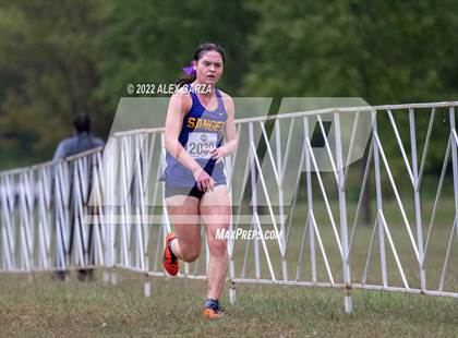 Thumbnail 1 in UIL Cross Country 4A Final 3200M photogallery.